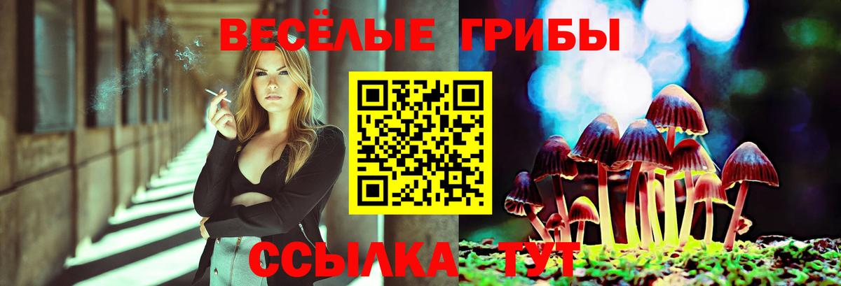 Галлюциногенные грибы Magic Shrooms Белая Калитва